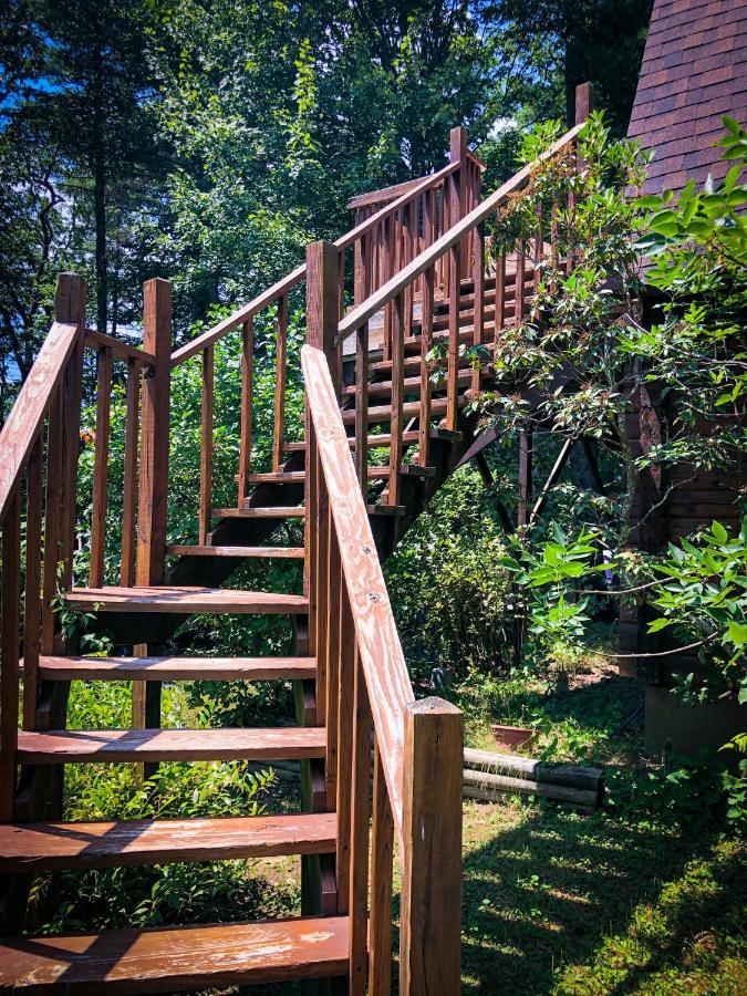 Hikers Haven, A Cozy Cabin Loft Above Bashakill Wildlife Refuge Villa Wurtsboro Dış mekan fotoğraf