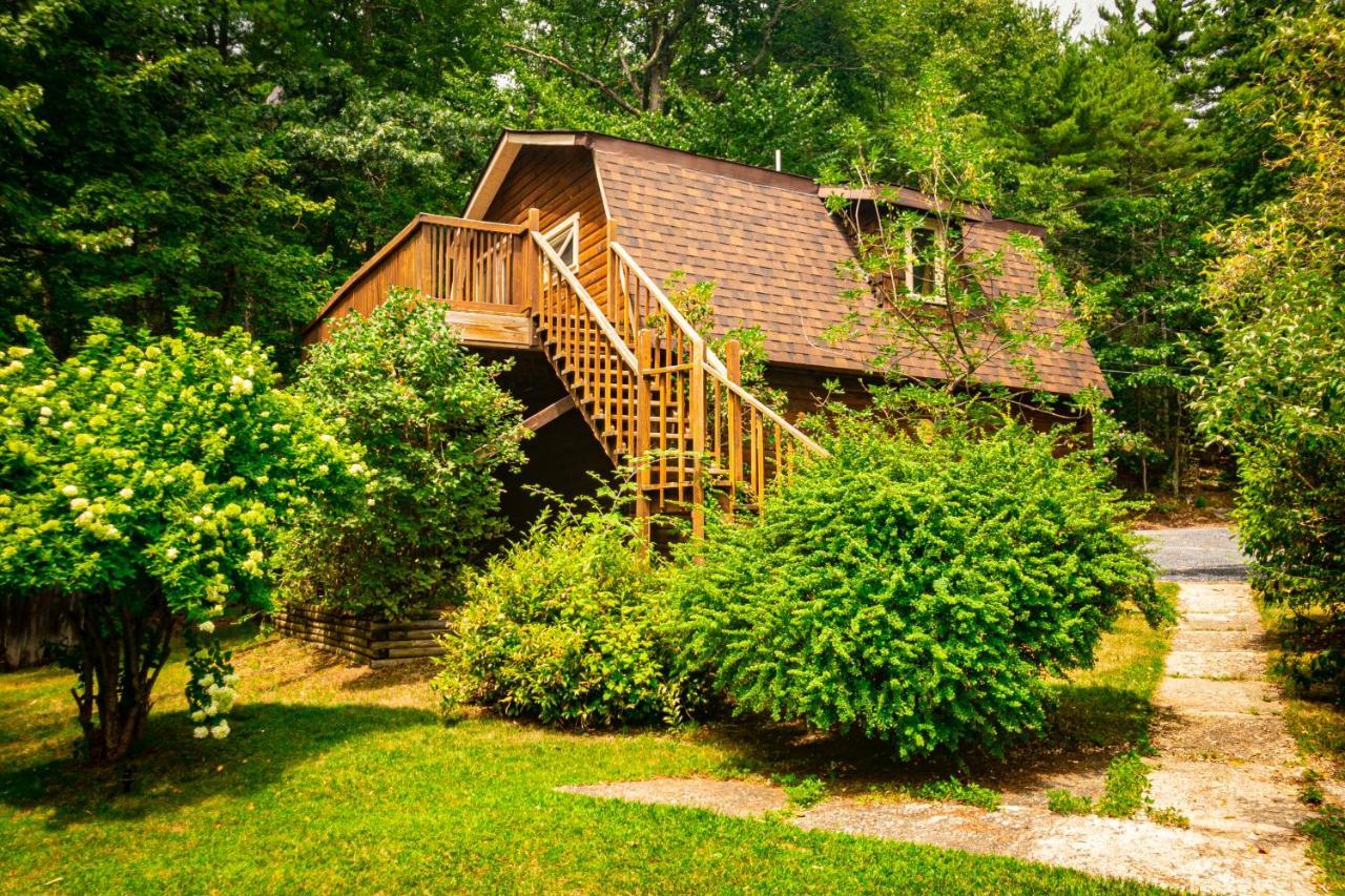 Hikers Haven, A Cozy Cabin Loft Above Bashakill Wildlife Refuge Villa Wurtsboro Dış mekan fotoğraf